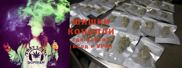 мет Нея