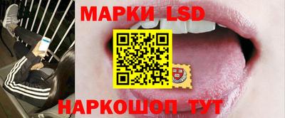 mdpv Камышлов