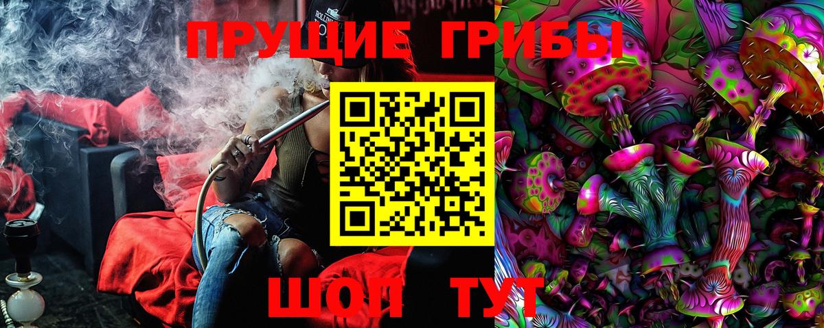 Ливны  Псилоцибиновые грибы Psilocybe  Вход с VPN  Галлюциногенные грибы Cubensis 